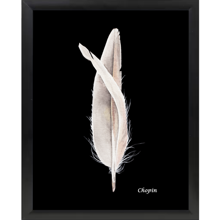 Framed Feather Print