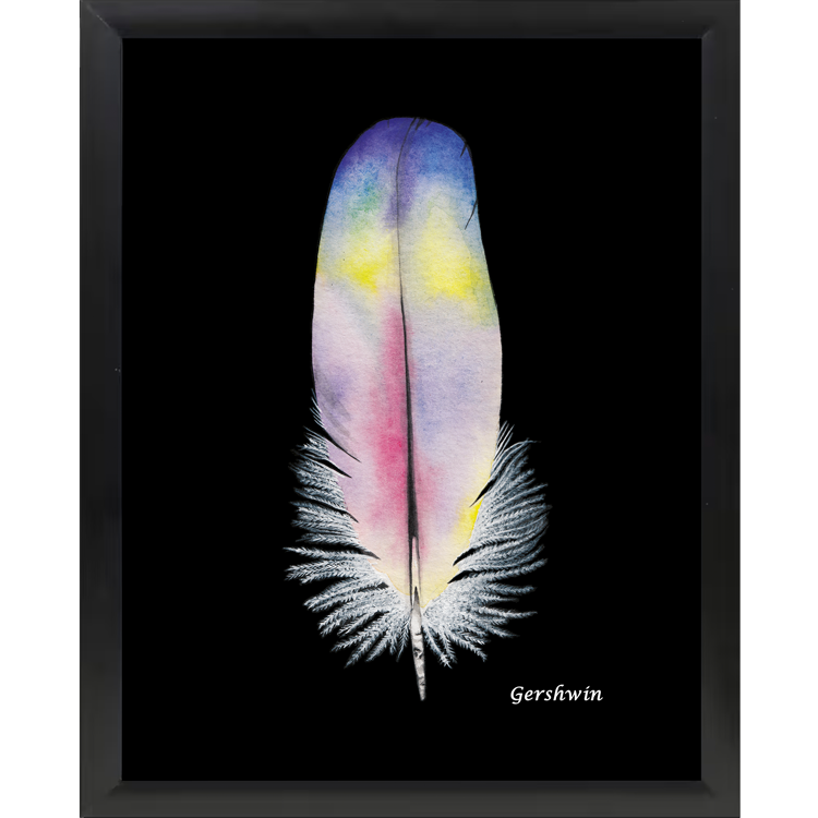 Framed Feather Print
