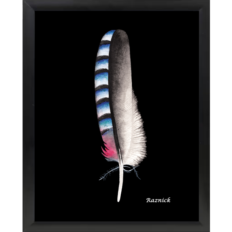 Framed Feather Print